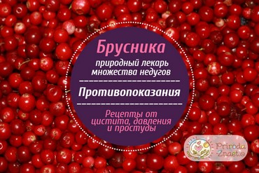 Полезные свойства брусники