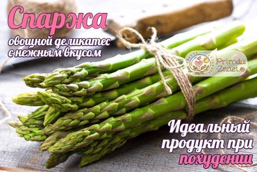 Полезные свойства спаржи