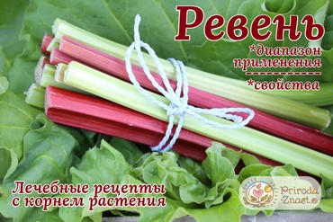 Ревень