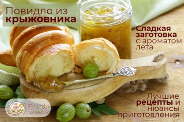 Повидло из крыжовника