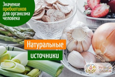 Пребиотики