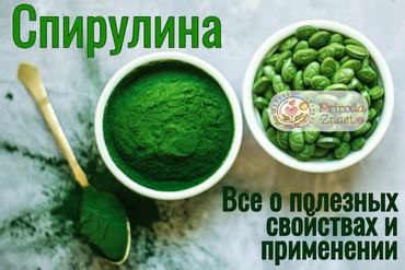 Микроводоросль