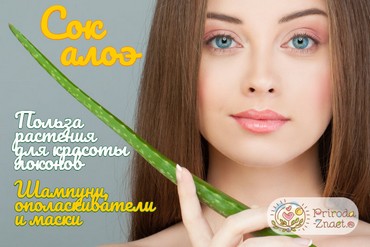 Cок алоэ для волос
