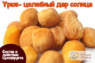 Урюк