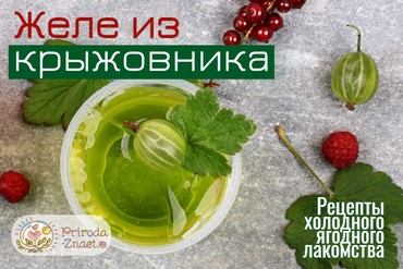 Желе из крыжовника